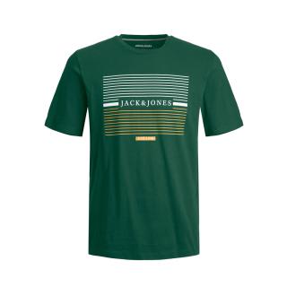 Jack & Jones T-shirt maglietta cotone taglie forti 12254891 verde