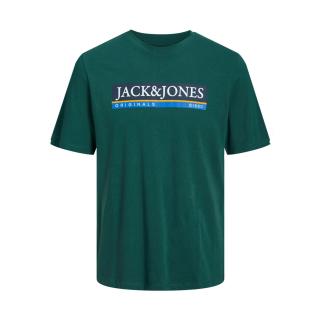 Jack & Jones T-shirt maglietta cotone nero taglie forti 12235554 verde