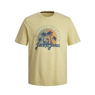 Jack & Jones T-shirt maglietta cotone blu taglie forti 12254907 senape