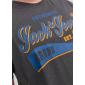 Jack & Jones t-shirt maglietta taglie forti uomo 12243611 grigio - foto 3